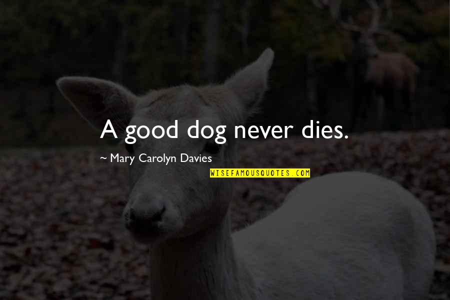 Loss Of Dog Quotes By Mary Carolyn Davies: A good dog never dies.