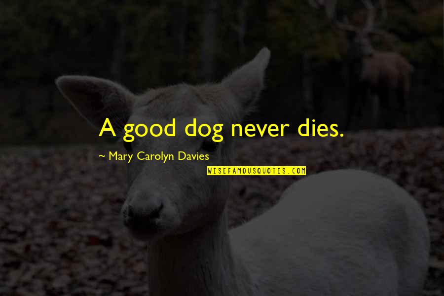 Loss Of My Dog Quotes By Mary Carolyn Davies: A good dog never dies.