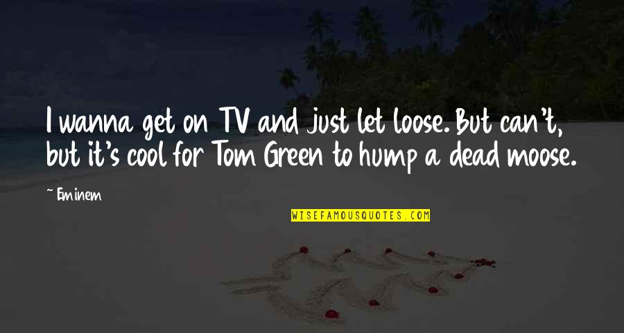 Loss Of Son Inspirational Quotes By Eminem: I wanna get on TV and just let Loss Of Son Inspirational Quotes By Eminem: I wanna get on TV and just let