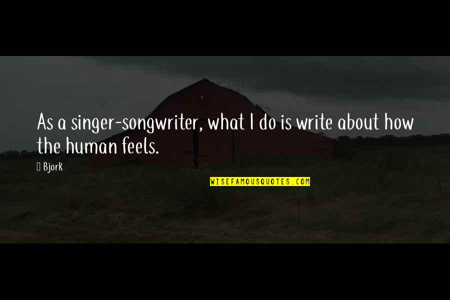 Loss Of Unborn Child Quotes By Bjork: As a singer-songwriter, what I do is write