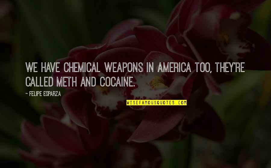 Losses Of Loved One Quotes By Felipe Esparza: We have chemical weapons in America too, they're