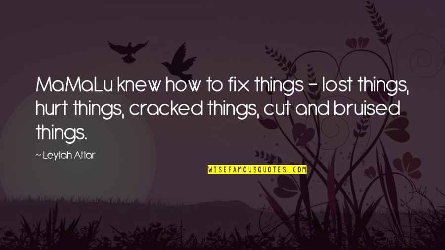 Lost And Hurt Quotes By Leylah Attar: MaMaLu knew how to fix things - lost