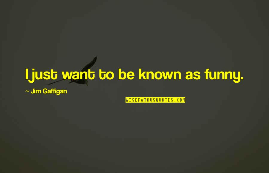 Lost Baby Boy Quotes By Jim Gaffigan: I just want to be known as funny.