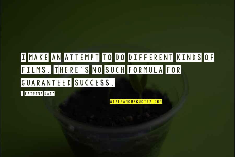 Lost Broken Heart Quotes By Katrina Kaif: I make an attempt to do different kinds Lost Broken Heart Quotes By Katrina Kaif: I make an attempt to do different kinds