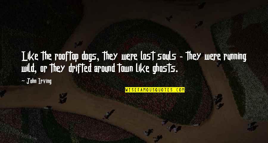 Lost Dogs Quotes By John Irving: Like the rooftop dogs, they were lost souls