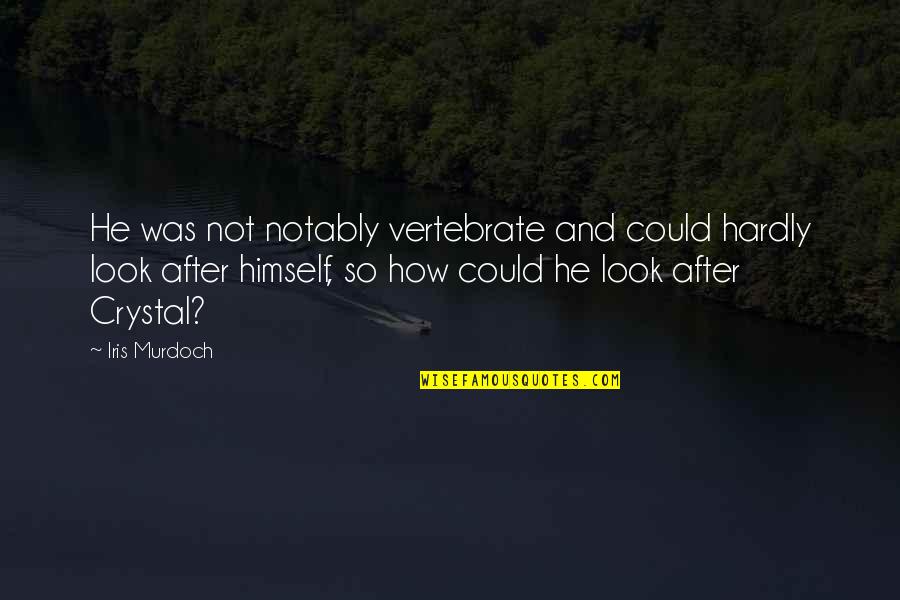 Lost For Words Movie Quotes By Iris Murdoch: He was not notably vertebrate and could hardly