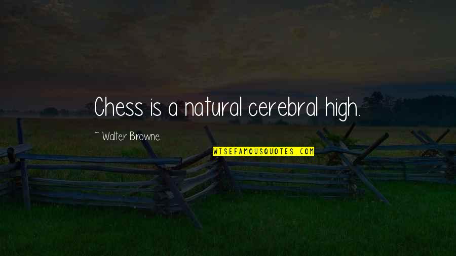 Lost Highway Movie Quotes By Walter Browne: Chess is a natural cerebral high. Lost Highway Movie Quotes By Walter Browne: Chess is a natural cerebral high.