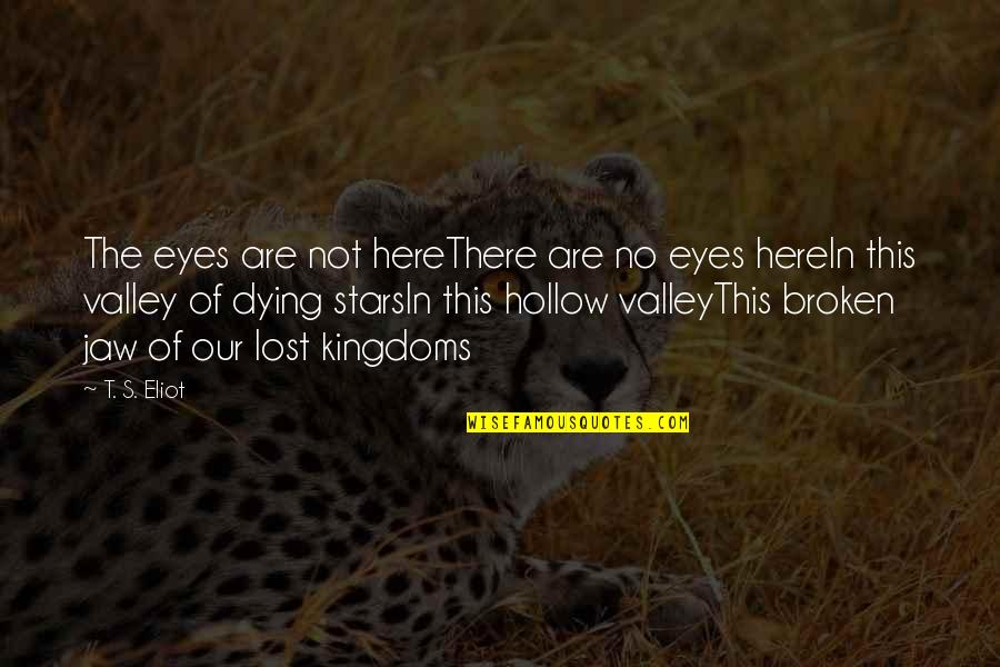 Lost In Your Eyes Quotes By T. S. Eliot: The eyes are not hereThere are no eyes