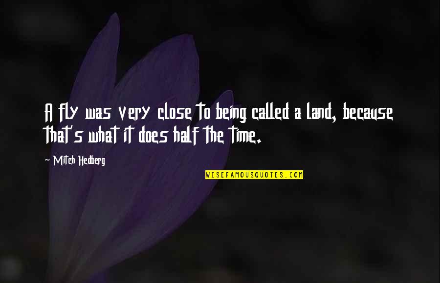Lost Myself Somewhere Quotes By Mitch Hedberg: A fly was very close to being called