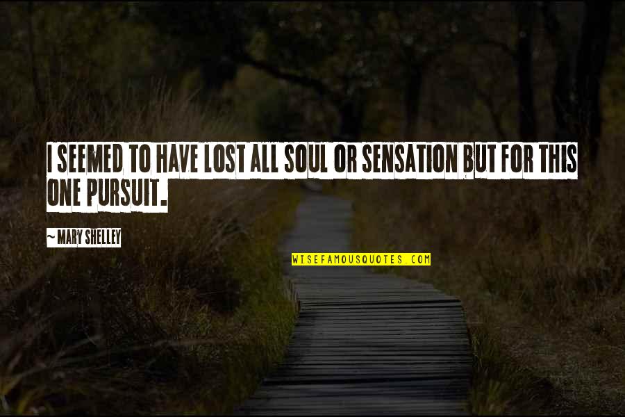 Lost One Quotes By Mary Shelley: I seemed to have lost all soul or