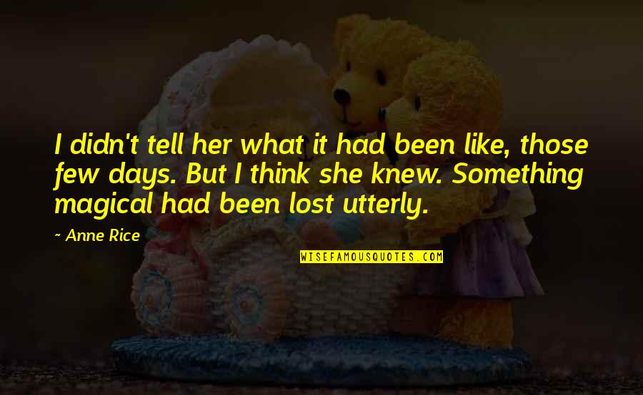 Lost Something Quotes By Anne Rice: I didn't tell her what it had been