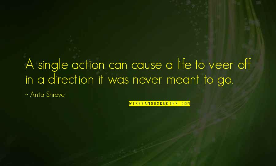 Lotana Quotes By Anita Shreve: A single action can cause a life to