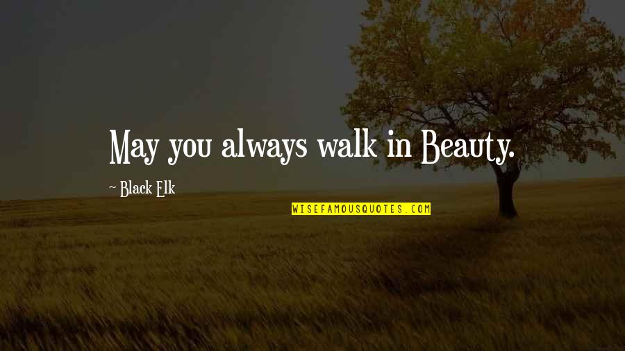 Lotka Quotes By Black Elk: May you always walk in Beauty.