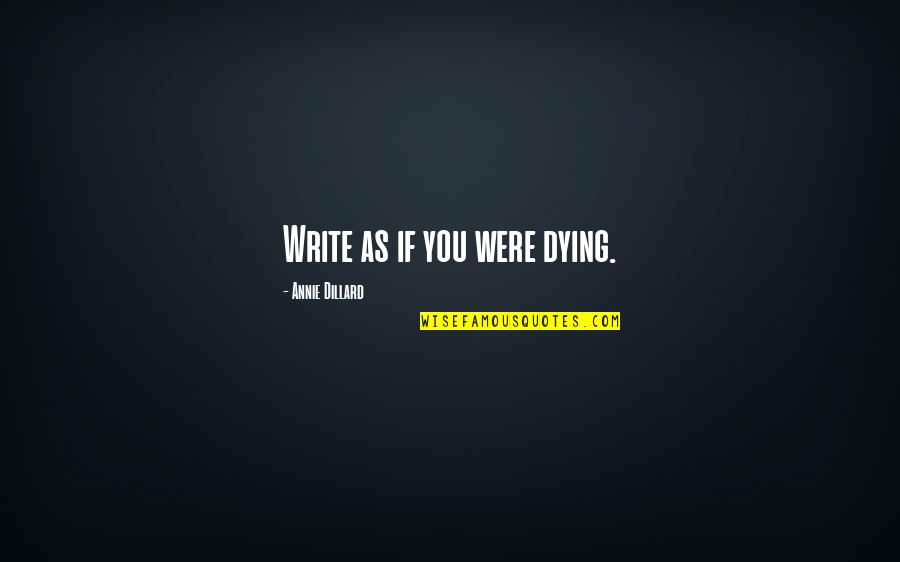 Lotr War In The North Quotes By Annie Dillard: Write as if you were dying.