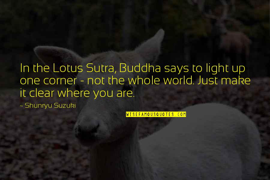 Lotus By Buddha Quotes By Shunryu Suzuki: In the Lotus Sutra, Buddha says to light