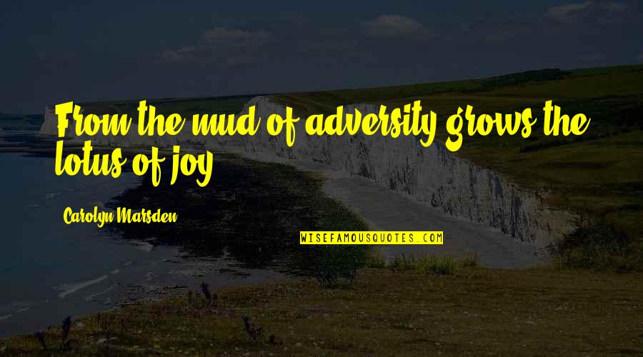 Lotus Inspirational Quotes By Carolyn Marsden: From the mud of adversity grows the lotus