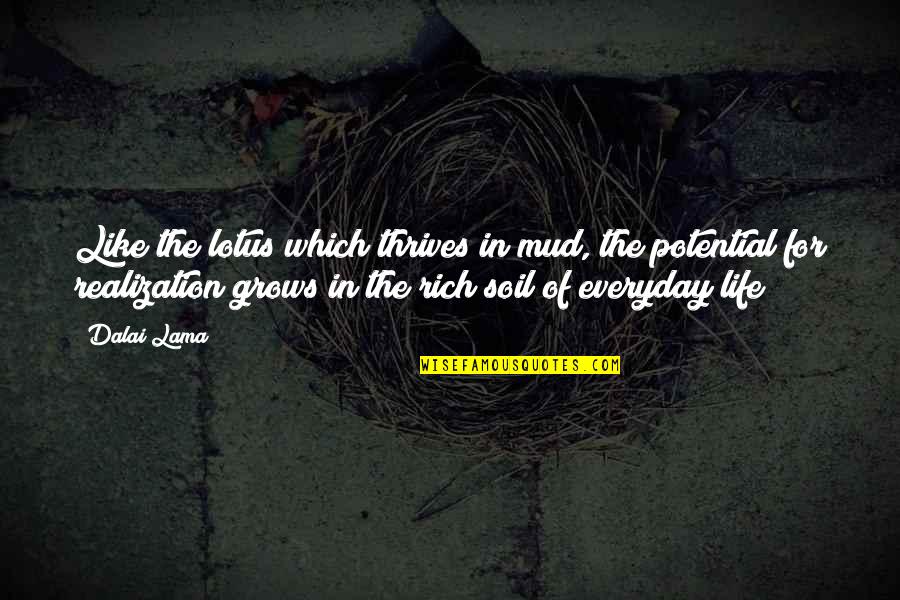 Lotus Life Quotes By Dalai Lama: Like the lotus which thrives in mud, the