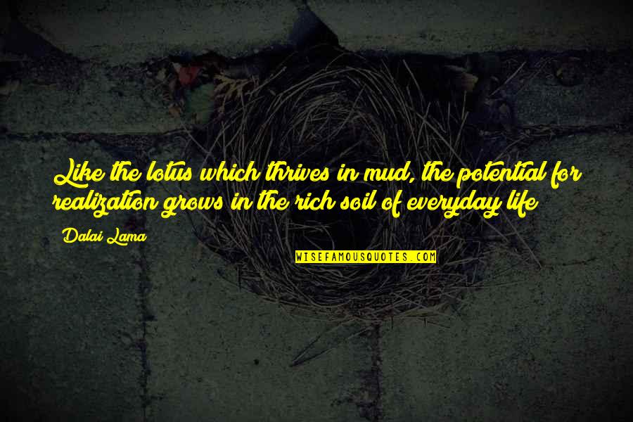 Lotus Quotes By Dalai Lama: Like the lotus which thrives in mud, the Lotus Quotes By Dalai Lama: Like the lotus which thrives in mud, the