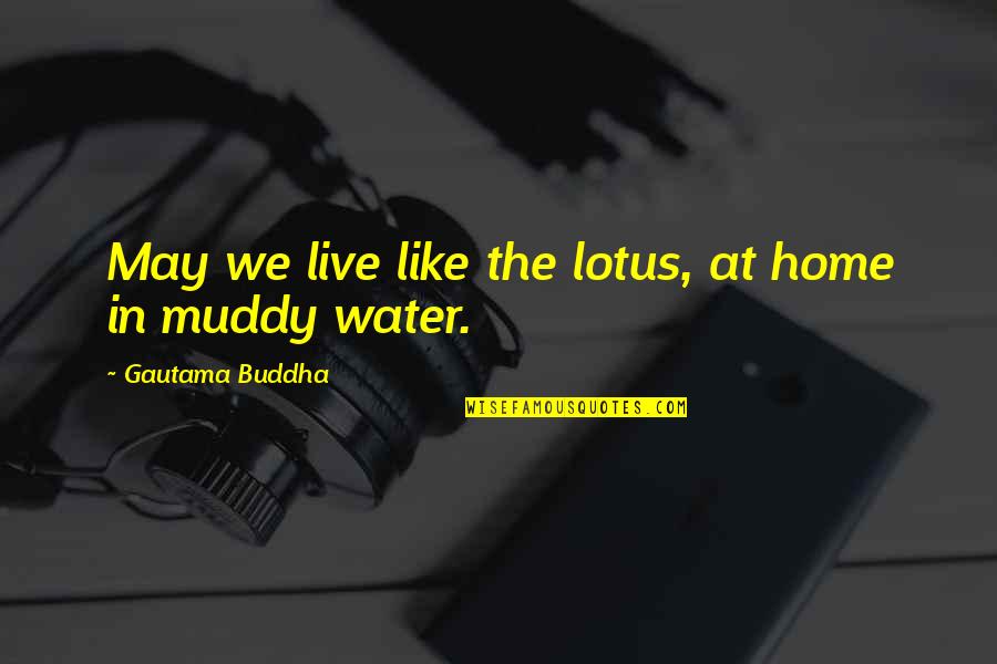 Lotus Water Quotes By Gautama Buddha: May we live like the lotus, at home