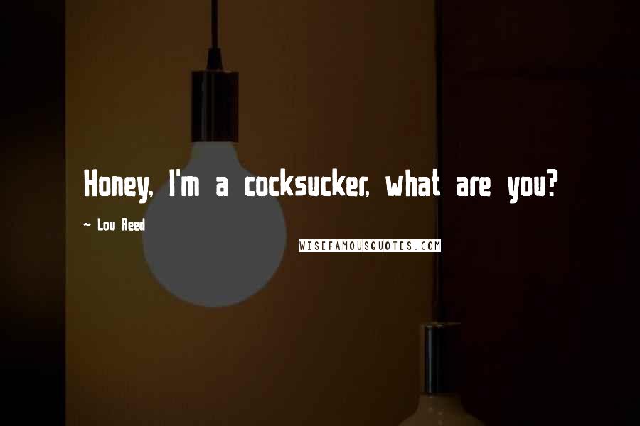 Lou Reed quotes: Honey, I'm a cocksucker, what are you?