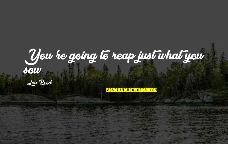 Lou Reed Quotes By Lou Reed: You're going to reap just what you sow