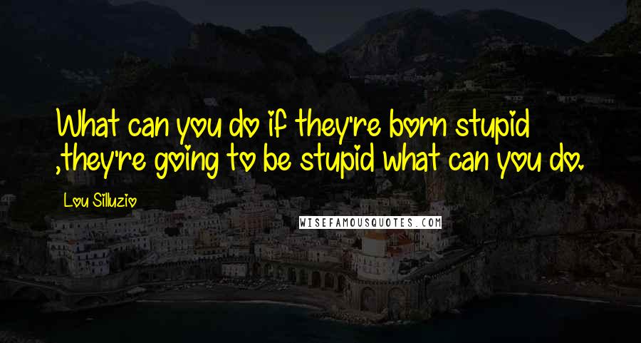 Lou Silluzio quotes: What can you do if they're born stupid ,they're going to be stupid what can you do.
