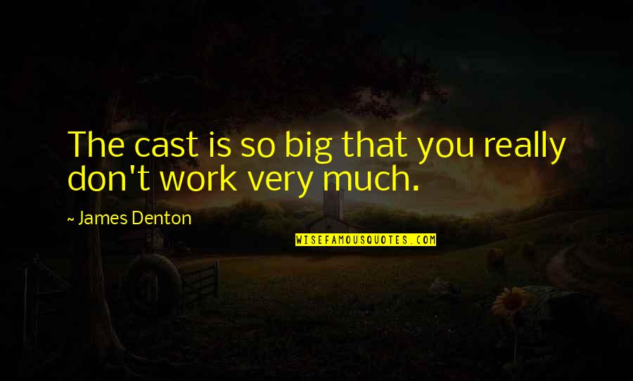 Louchiey Quotes By James Denton: The cast is so big that you really Louchiey Quotes By James Denton: The cast is so big that you really