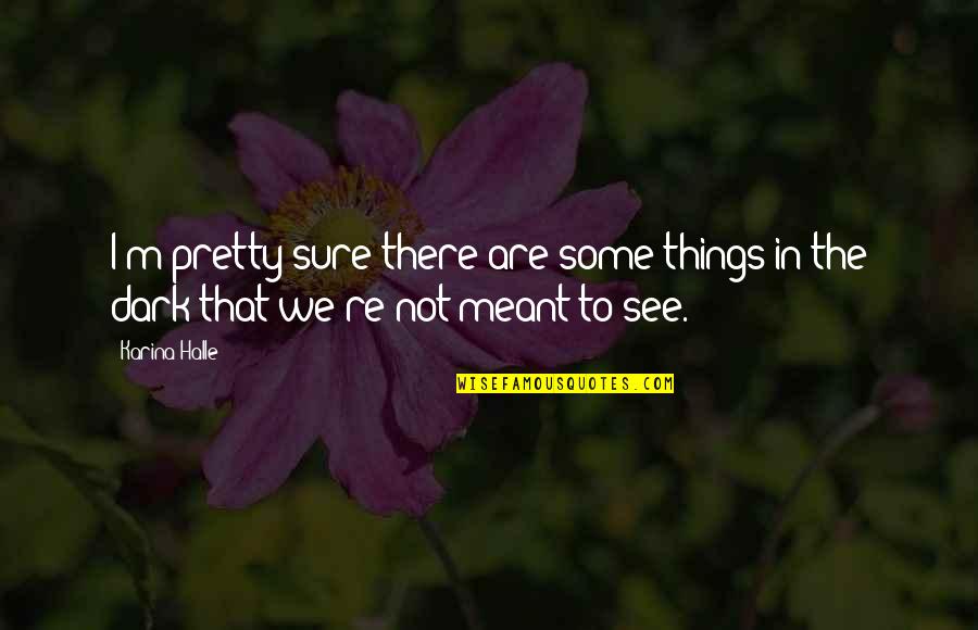 Loudoun Quotes By Karina Halle: I'm pretty sure there are some things in