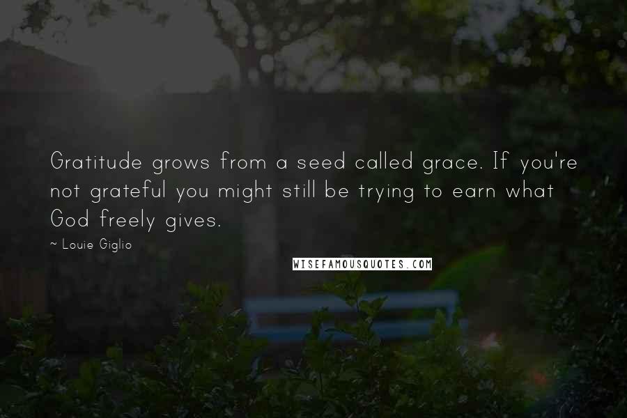Louie Giglio quotes: Gratitude grows from a seed called grace. If you're not grateful you might still be trying to earn what God freely gives.