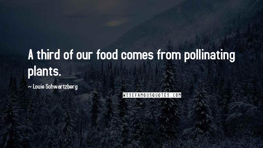 Louie Schwartzberg quotes: A third of our food comes from pollinating plants.
