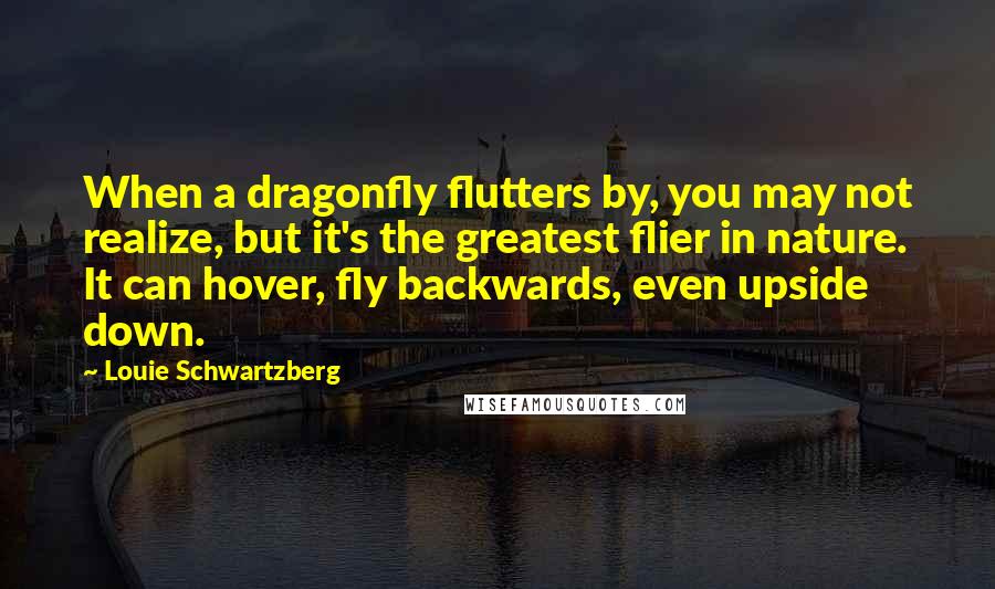 Louie Schwartzberg quotes: When a dragonfly flutters by, you may not realize, but it's the greatest flier in nature. It can hover, fly backwards, even upside down.