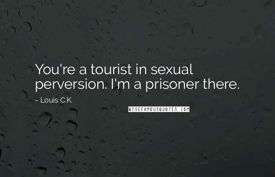 Louis C.K. quotes: You're a tourist in sexual perversion. I'm a prisoner there.