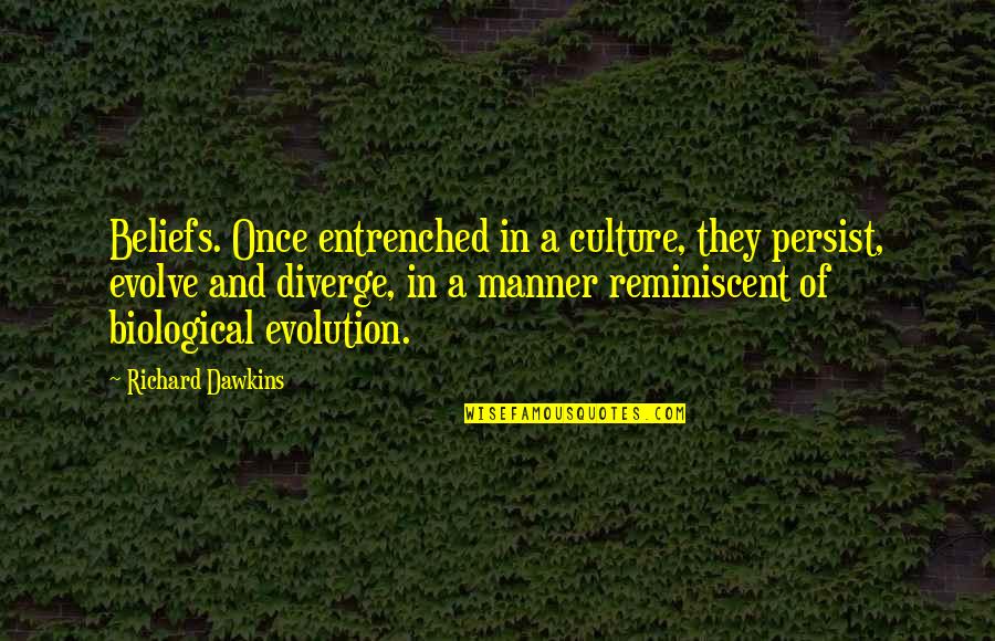 Louis Chenevert Quotes By Richard Dawkins: Beliefs. Once entrenched in a culture, they persist,