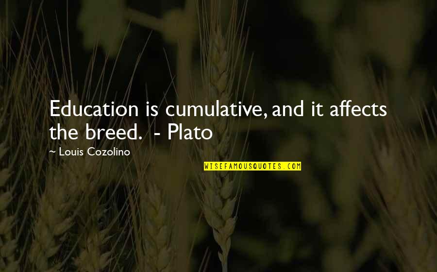 Louis Cozolino Quotes By Louis Cozolino: Education is cumulative, and it affects the breed.