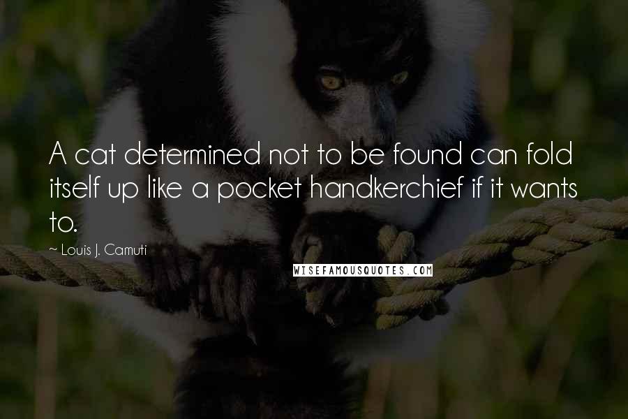 Louis J. Camuti quotes: A cat determined not to be found can fold itself up like a pocket handkerchief if it wants to.