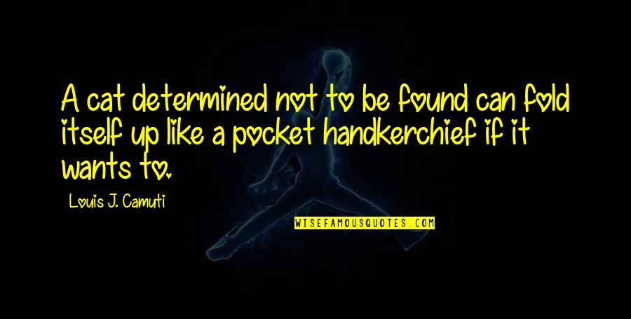 Louis J Camuti Quotes By Louis J. Camuti: A cat determined not to be found can
