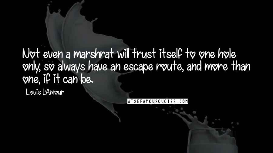 Louis L'Amour quotes: Not even a marshrat will trust itself to one hole only, so always have an escape route, and more than one, if it can be. Louis L'Amour quotes: Not even a marshrat will trust itself to one hole only, so always have an escape route, and more than one, if it can be.