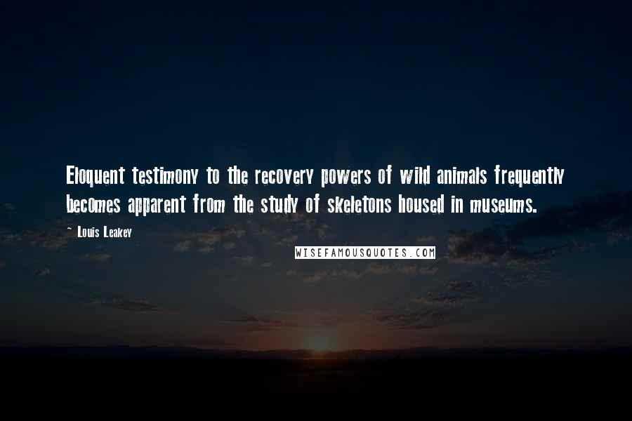 Louis Leakey quotes: Eloquent testimony to the recovery powers of wild animals frequently becomes apparent from the study of skeletons housed in museums.