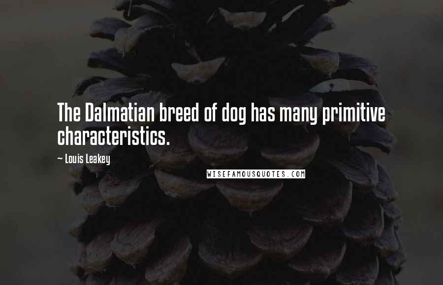 Louis Leakey quotes: The Dalmatian breed of dog has many primitive characteristics.