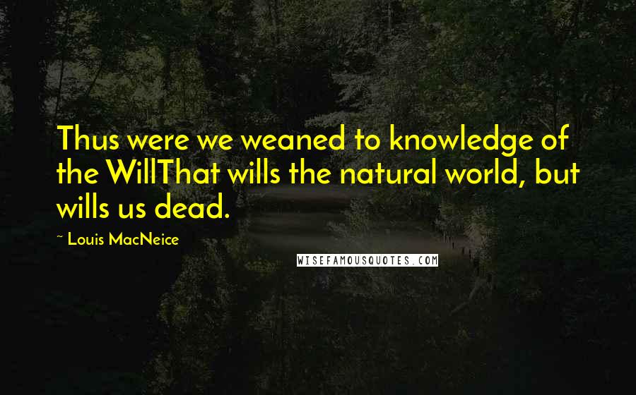 Louis MacNeice quotes: Thus were we weaned to knowledge of the WillThat wills the natural world, but wills us dead.