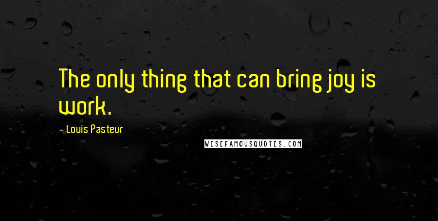 Louis Pasteur quotes: The only thing that can bring joy is work.