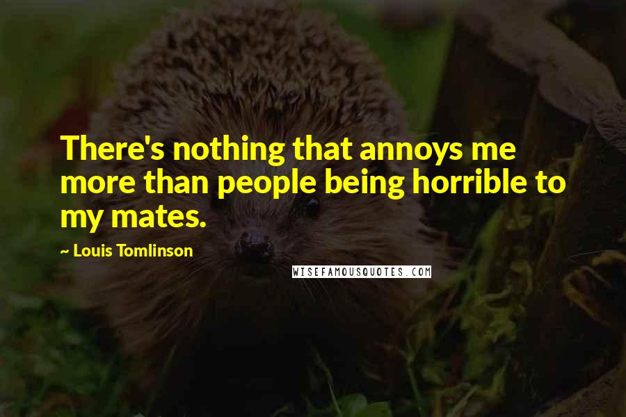 Louis Tomlinson quotes: There's nothing that annoys me more than people being horrible to my mates.