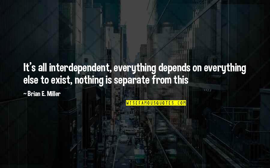 Louise Arner Boyd Quotes By Brian E. Miller: It's all interdependent, everything depends on everything else