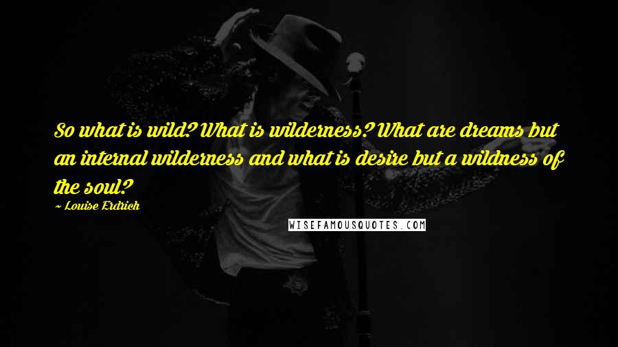 Louise Erdrich quotes: So what is wild? What is wilderness? What are dreams but an internal wilderness and what is desire but a wildness of the soul?