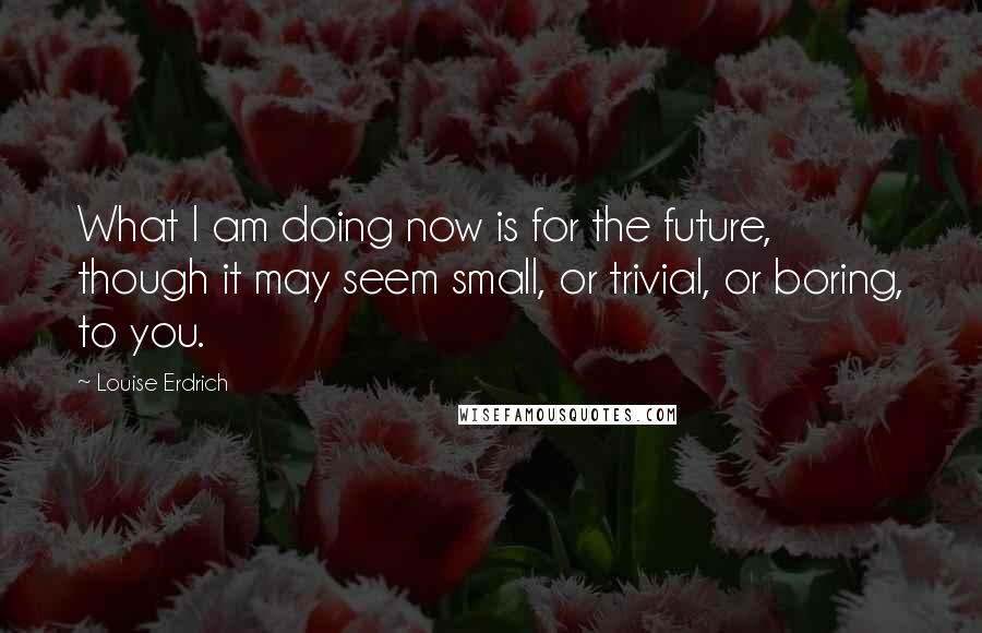 Louise Erdrich quotes: What I am doing now is for the future, though it may seem small, or trivial, or boring, to you.