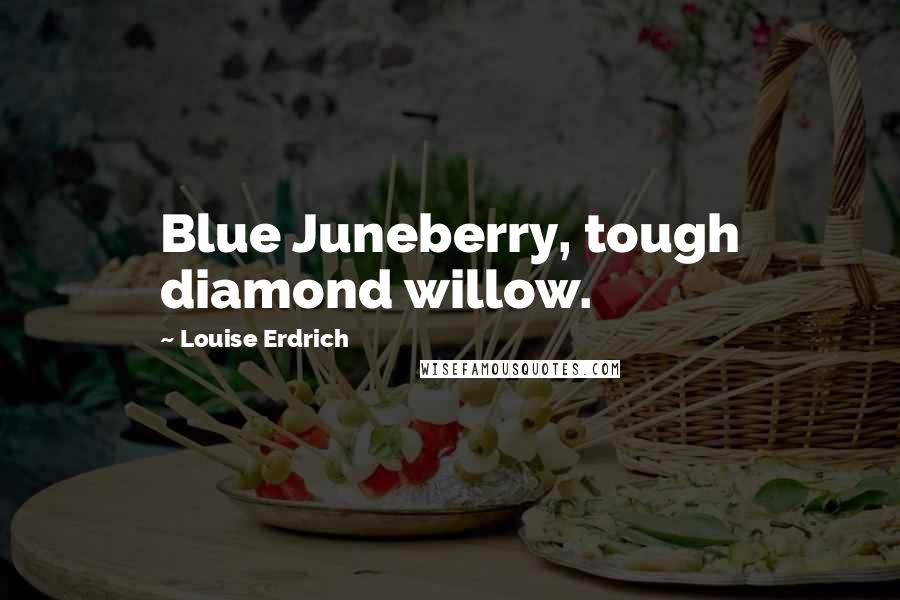 Louise Erdrich quotes: Blue Juneberry, tough diamond willow.