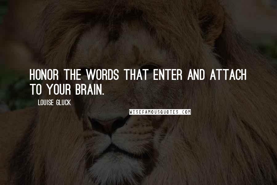 Louise Gluck quotes: Honor the words that enter and attach to your brain.