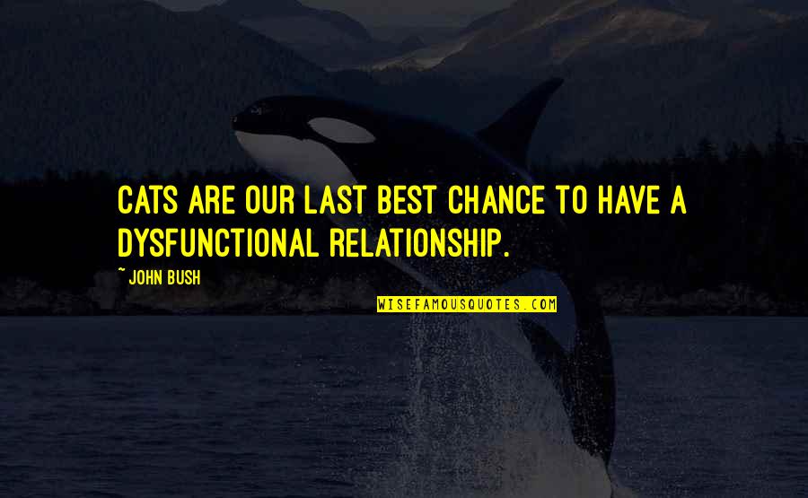 Louise Kaplan Quotes By John Bush: Cats are our last best chance to have
