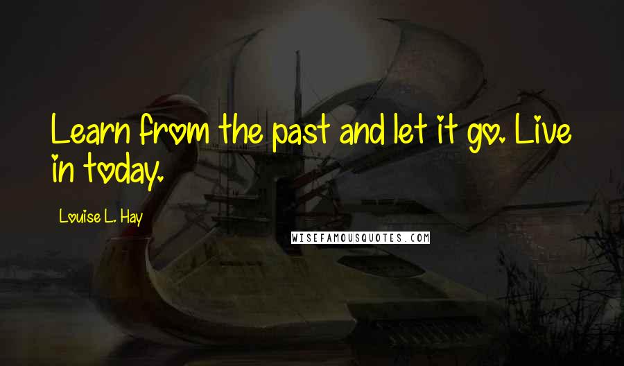 Louise L. Hay quotes: Learn from the past and let it go. Live in today.