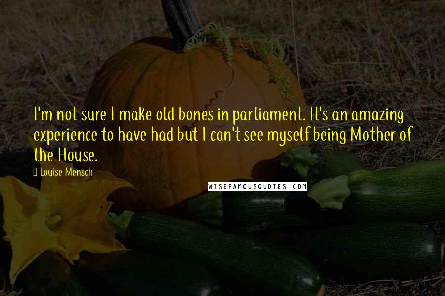 Louise Mensch quotes: I'm not sure I make old bones in parliament. It's an amazing experience to have had but I can't see myself being Mother of the House.